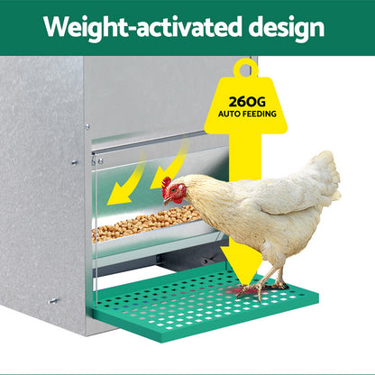 Giantz - Automatic Chicken Feeder with Self-Opening Treadle