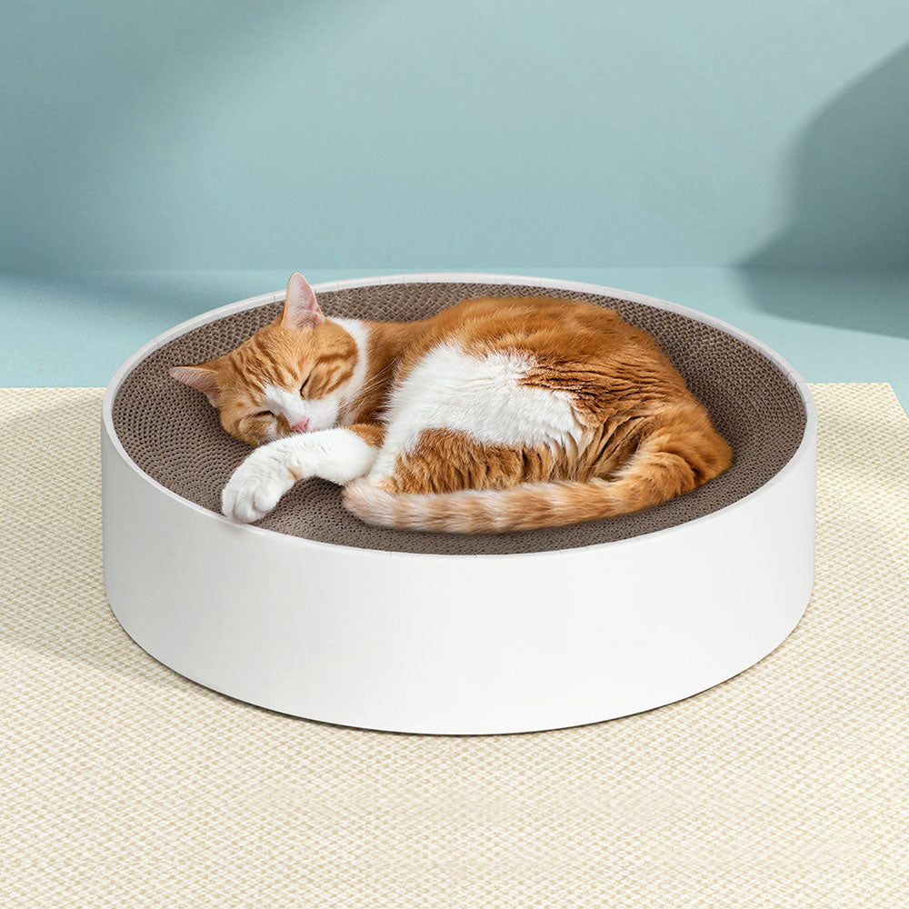 i.Pet - Round Cat Scratching Board with Catnip