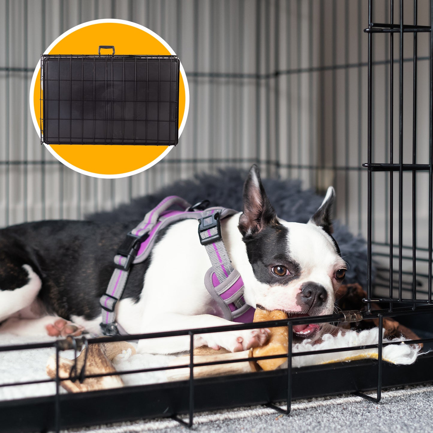 4Paws Dog Cage Pet Crate Cat Puppy Metal Cage with ABS Tray - Foldable and Portable (30" - Black)