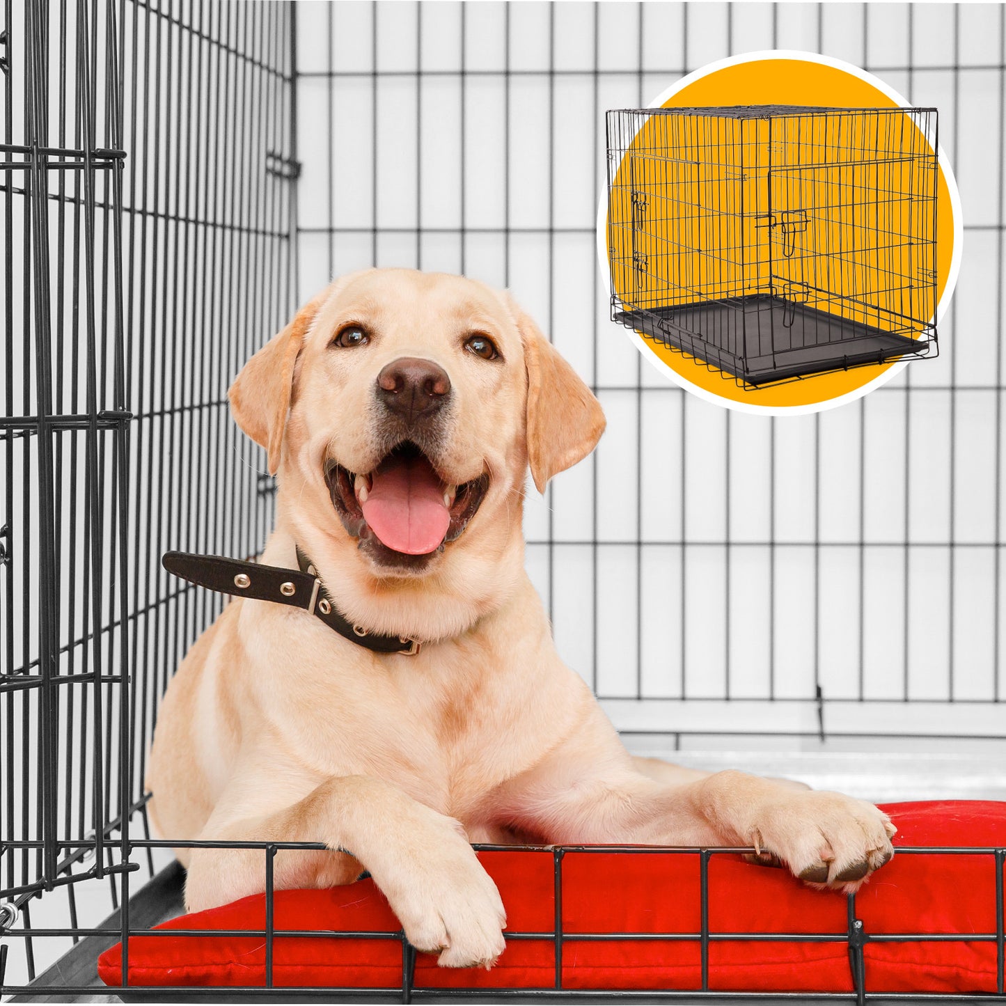 4Paws Dog Cage Pet Crate Cat Puppy Metal Cage with ABS Tray - Foldable and Portable (36" - Black)