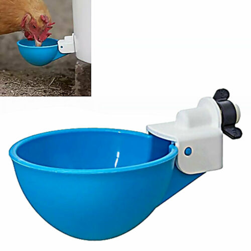 Cheeky Chooka - DIY Poultry Drinker Cups 4pk