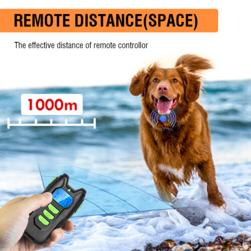 Electric Rechargeable Dog Training Anti Bark Collar