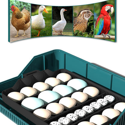 Digital LED Fully Automatic 25 Egg Incubator Hatch Turning Chicken Eggs Poultry