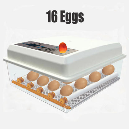 16 Egg Incubator Fully Automatic Digital Thermostat - Chicken Eggs Poultry Hatcher