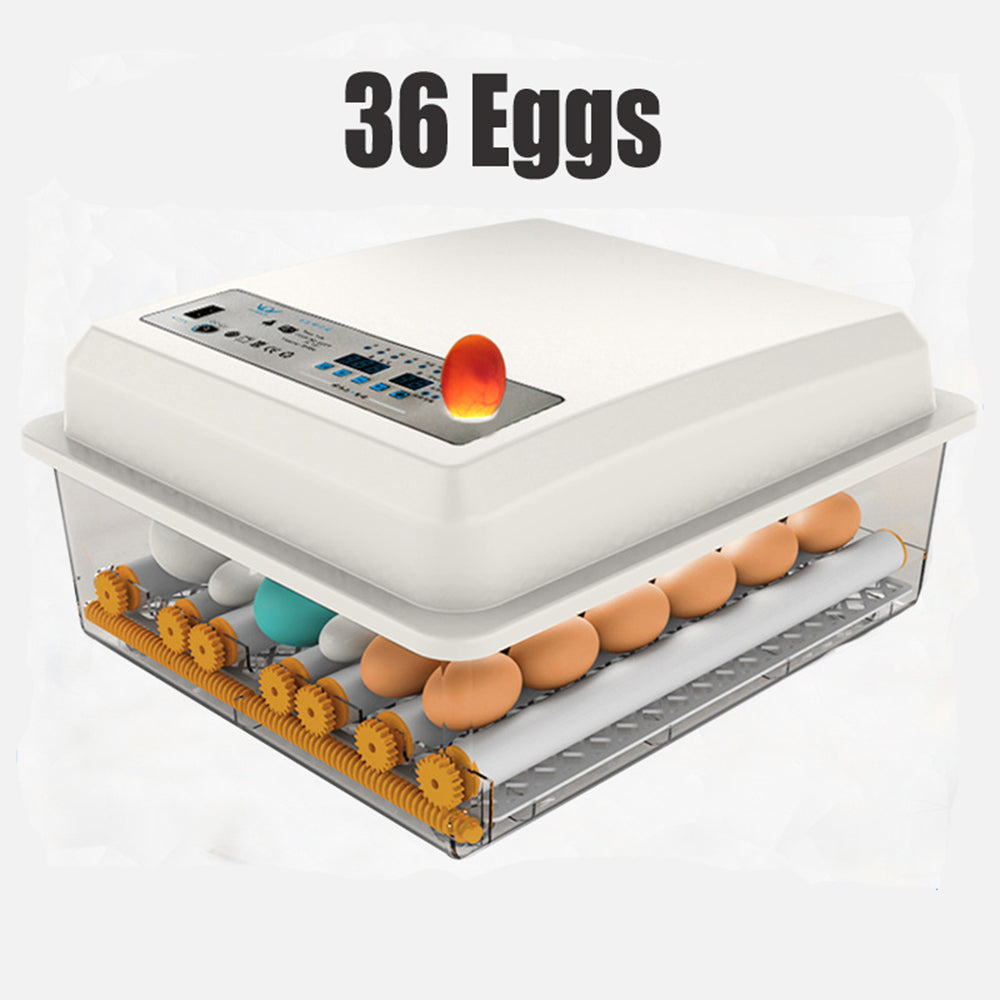 36 Egg Incubator Fully Automatic Digital Thermostat for Chicken and Poultry