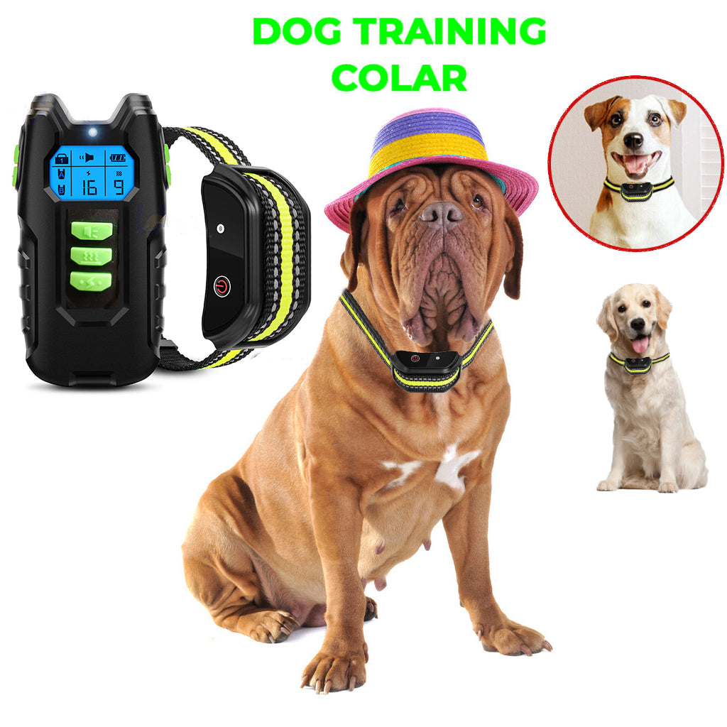 Electric Rechargeable Dog Training Anti Bark Collar