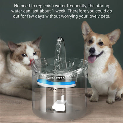 Electric Pet Water Fountain with Automatic Sensor