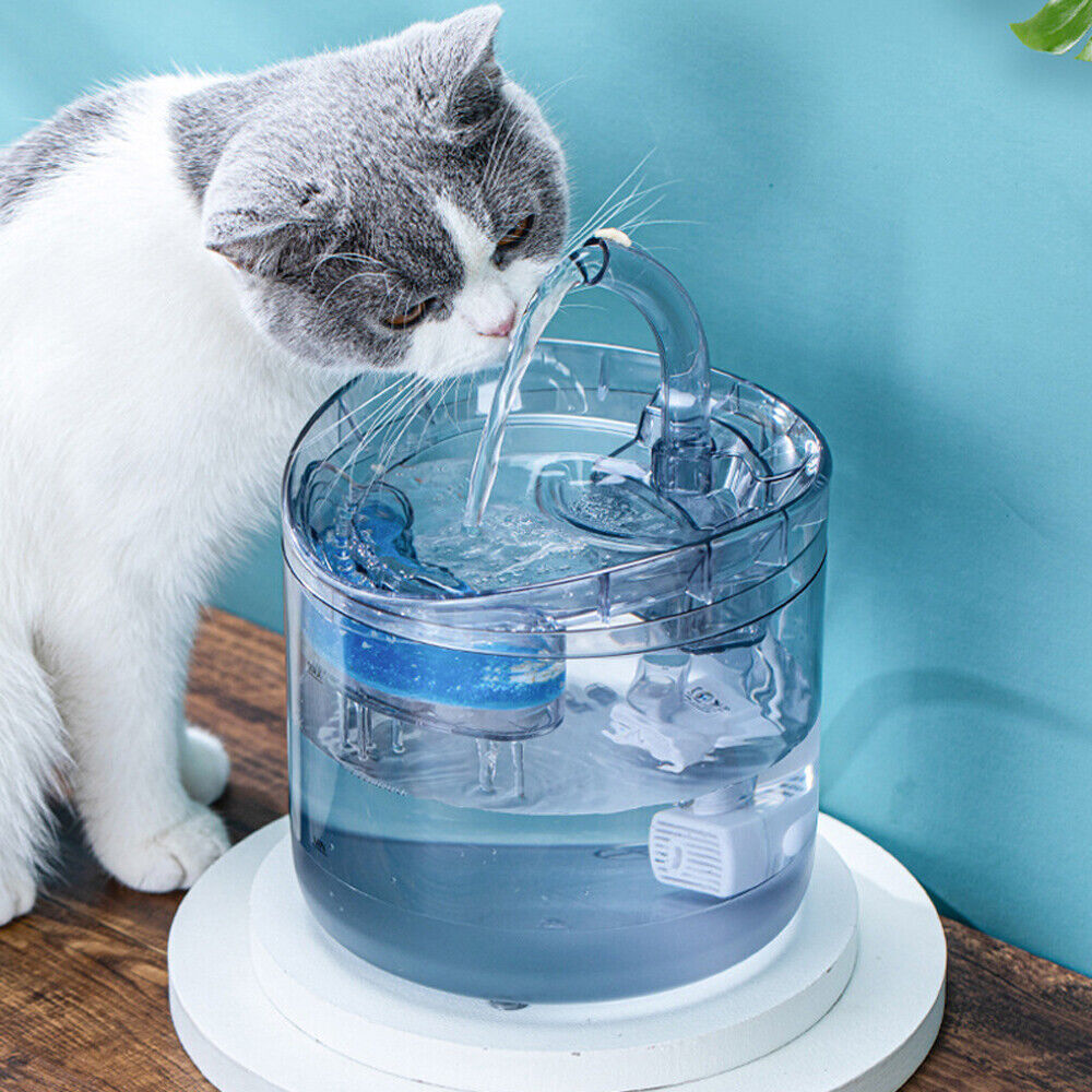 Electric Pet Water Fountain with Automatic Sensor