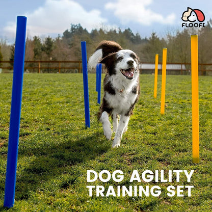 Floofi - Dog Agility Training Set