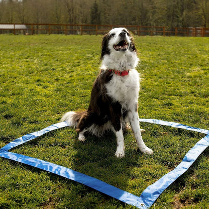 Floofi - Dog Agility Training Set