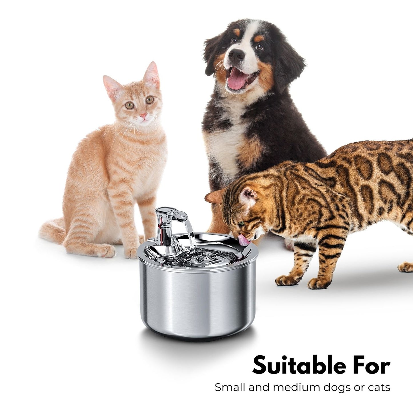 Floofi - 2L Stainless Steel Pet Water Fountain for Cats and Small Dogs