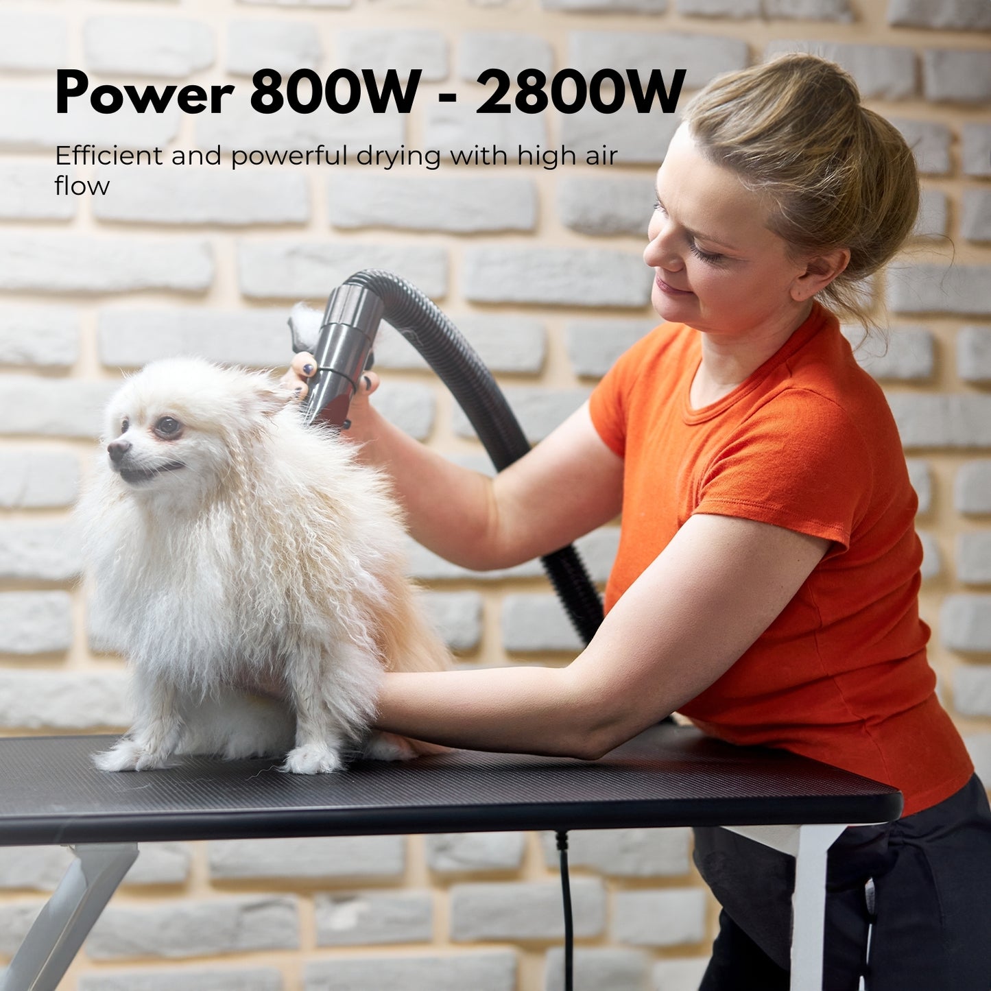 Floofi - Pet Hair Dryer Basic - White