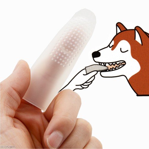 EARTH Japan Pet Finger Toothbrush for Cats and Dogs [6-PACK]