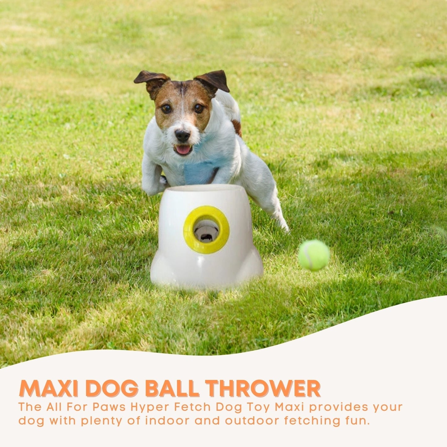 All For Paws - Maxi Hyper Fetch Dog Ball Thrower