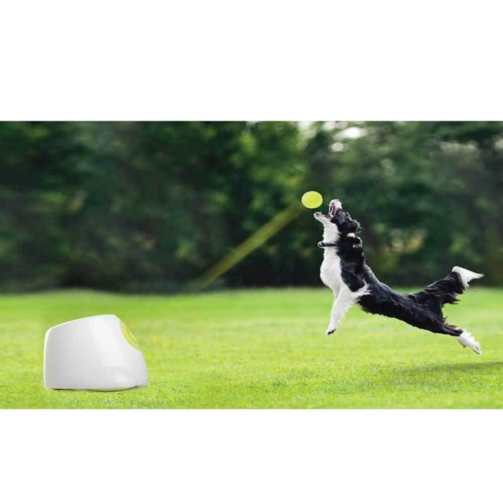 All For Paws - Maxi Hyper Fetch Dog Ball Thrower