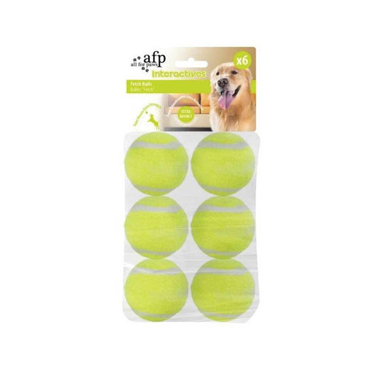 All For Paws - 6 Pack Dog Fetch Balls - Heavy Fetch N Treat Replacement Ball