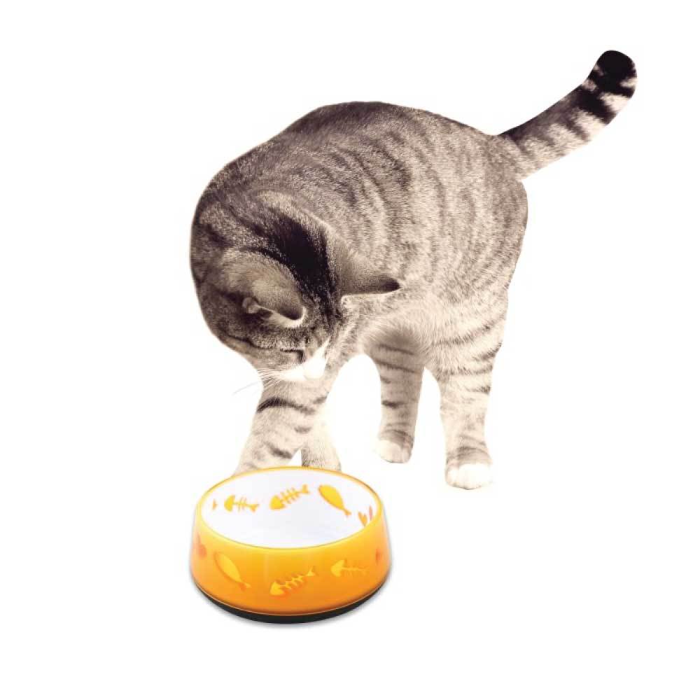 300ml Cat Bowl Orange Love - AFP Kitten Pet Food Water Feeding Anti-Slip Dish