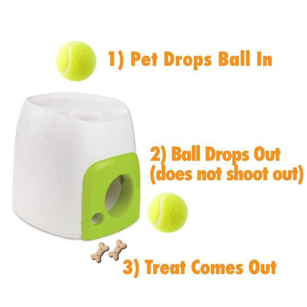 All For Paws - Fetch N Treat Dog Toy