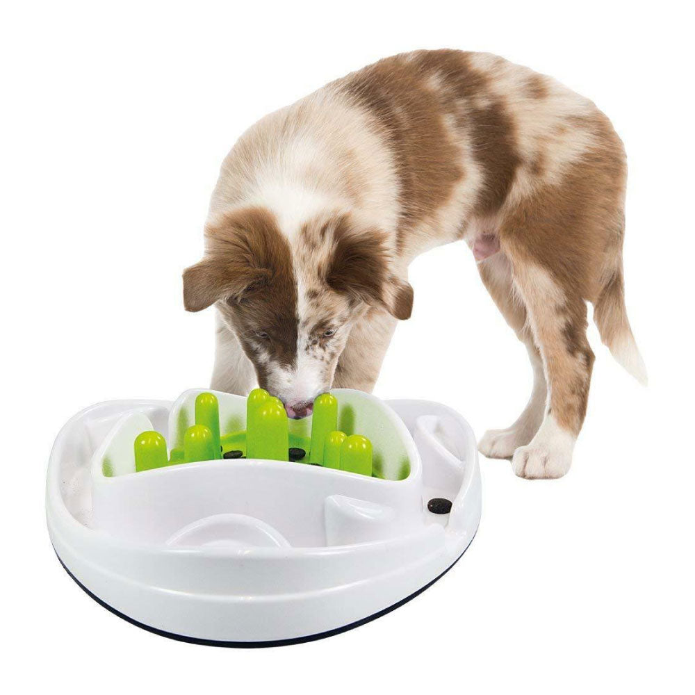 All For Paws - Dog Bowl Food Maze - Interactive Treat Feeder + Water Dish Pet