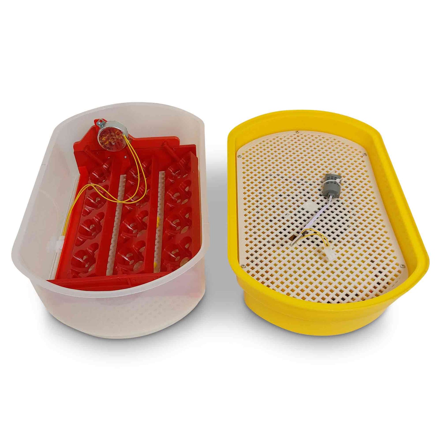 Electric 12 Egg Incubator + Accessories