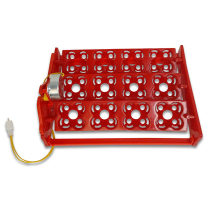 Electric 12 Egg Incubator + Accessories