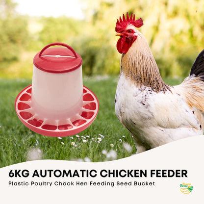 6Kg Automatic Chicken Feeder - Plastic Poultry Feeding Seed Bucket