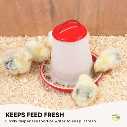 6Kg Automatic Chicken Feeder - Plastic Poultry Feeding Seed Bucket