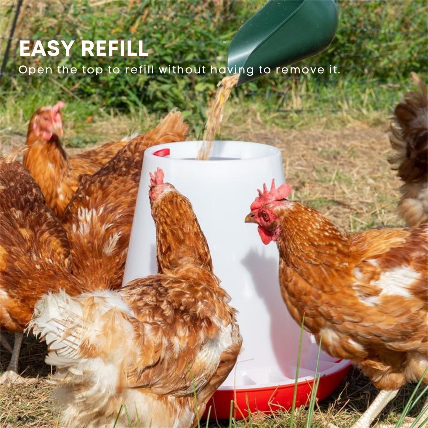 6Kg Automatic Chicken Feeder - Plastic Poultry Feeding Seed Bucket