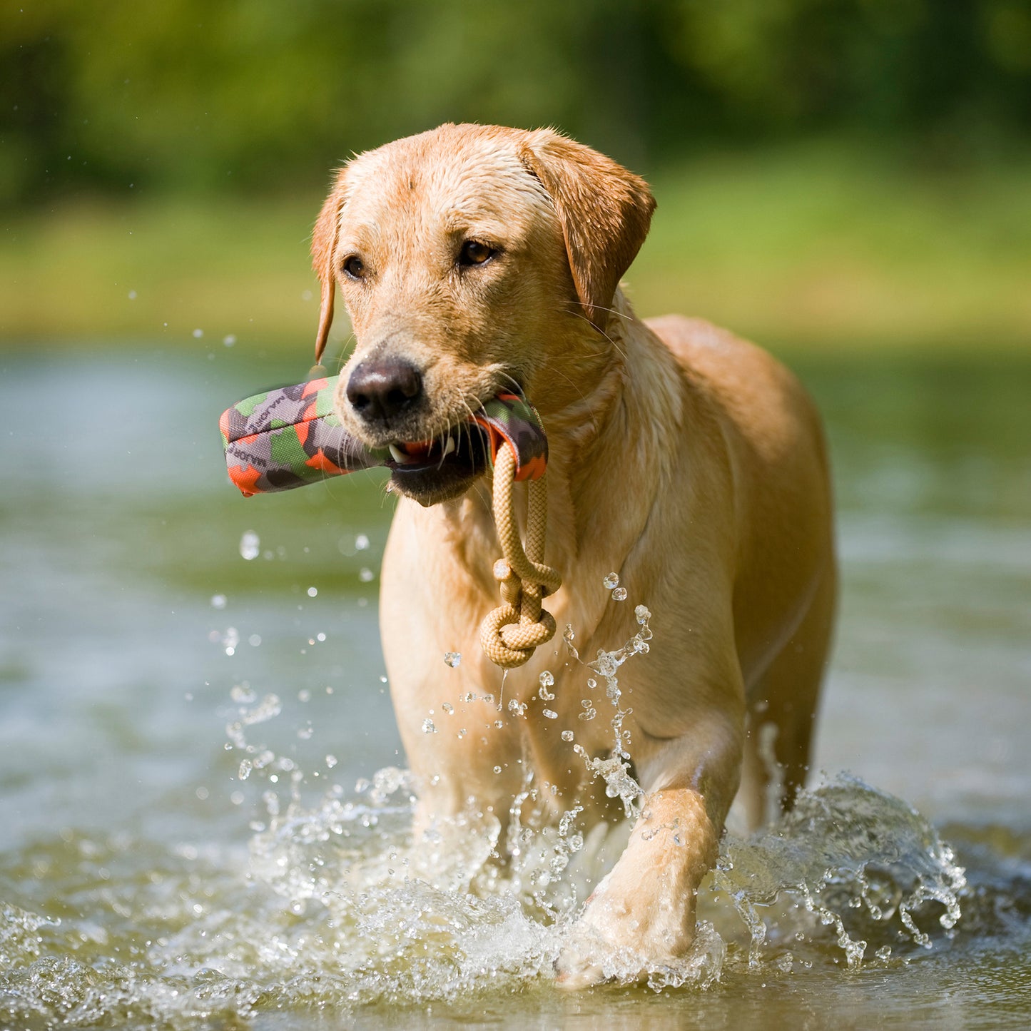 Major Dog Buoy Dummy - Small: Fetch Toy for Water-Loving Dogs