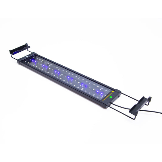 Dynamic Power 11W Aquarium LED Light – Blue and White for 50-70cm Tank