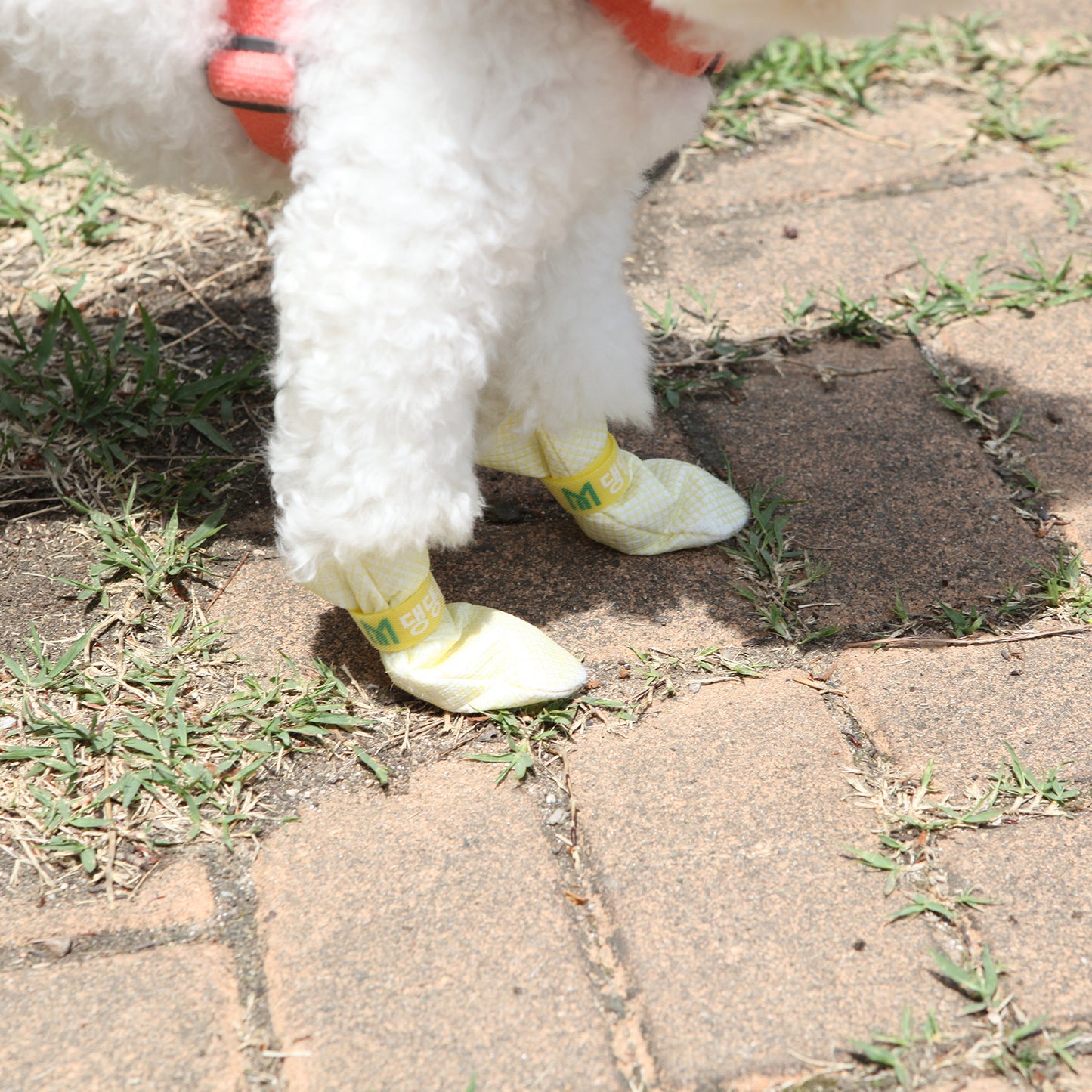 Daeng Daeng Shoes - 28pc Dog Shoes - Waterproof Disposable Anti-Slip Pet Socks Size L - Pink