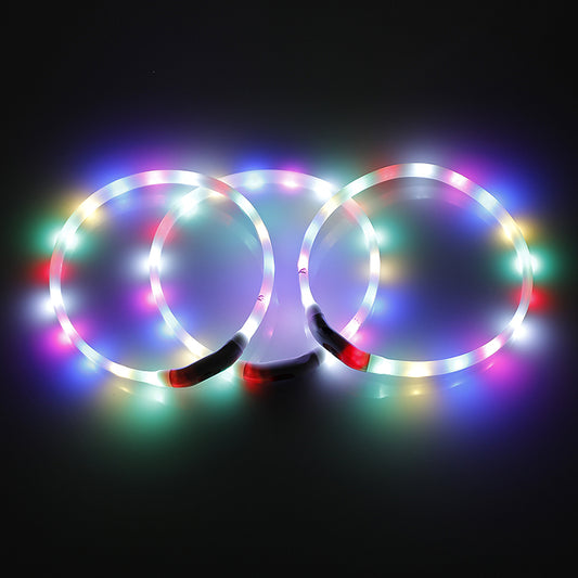 2 x YES4PETS LED Dog Collar - USB Rechargeable Night Glow Flashing Light Up Safety Pet Collars