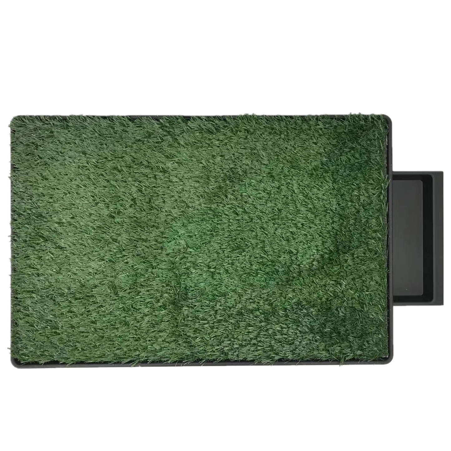 XL Indoor Dog Toilet Grass Potty Training Mat Loo Pad with 3 Grass