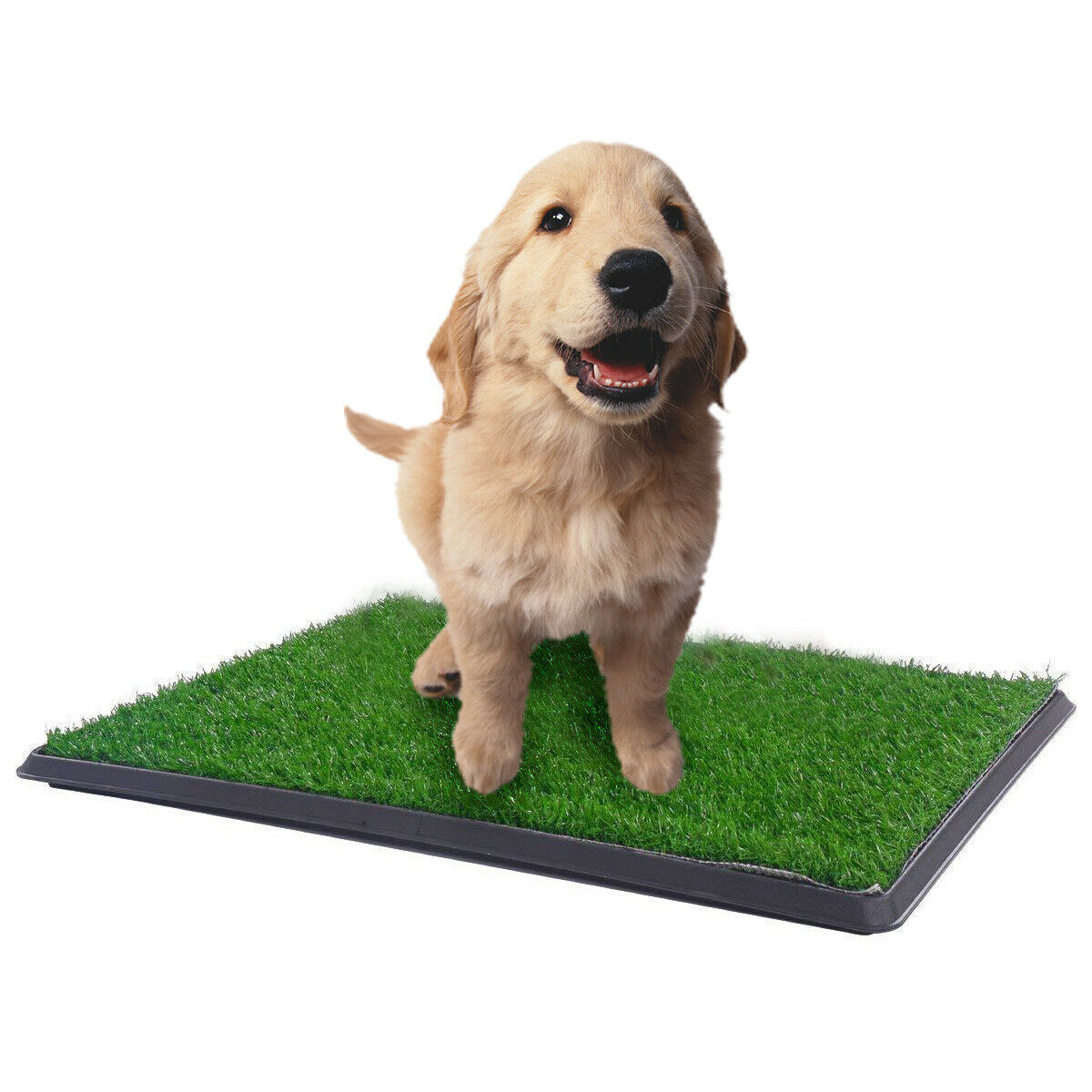 YES4PETS XL Indoor Dog Puppy Toilet Grass Training Mat Loo Pad Potty with 2 Grass Mats