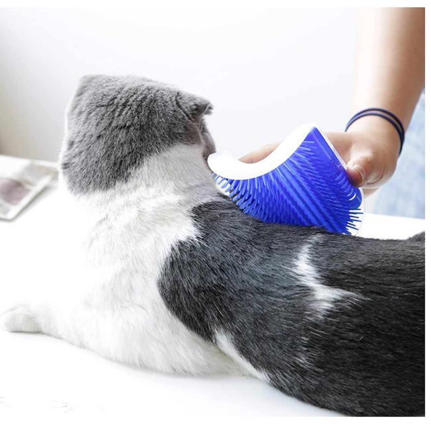 Cat Self Groomer Catnip  Dog Cat Toy Corner Groomer Wall Corner Scratcher Comb Grooming Massage Brush - Blue