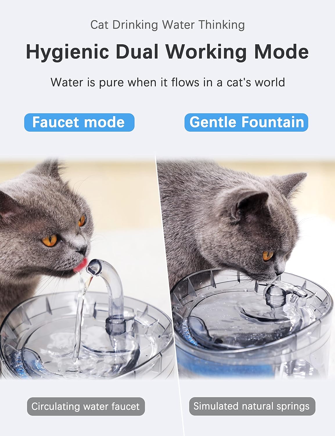 Automatic Pet Water Fountain Dispenser 1.8L