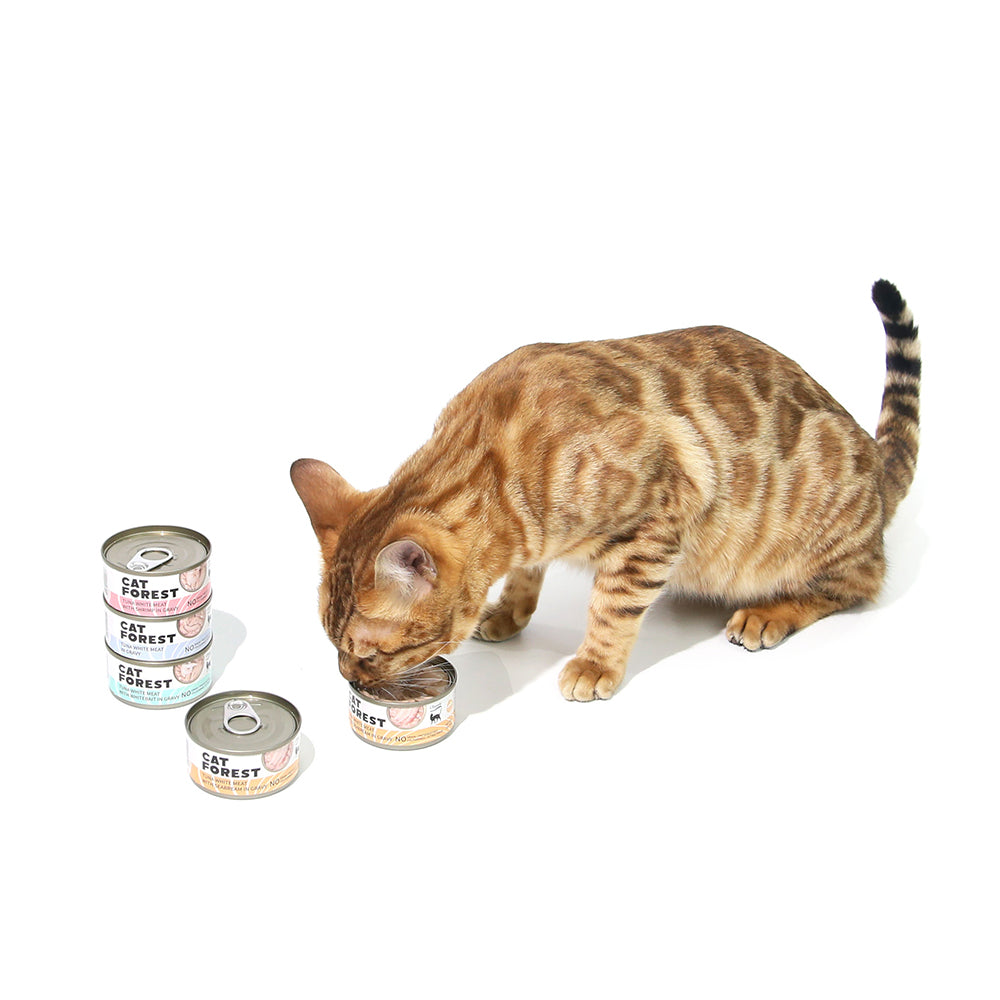 CAT FOREST - Classic Tuna White Meat With Shrimp In Gravy Cat Canned Food 85G X 24