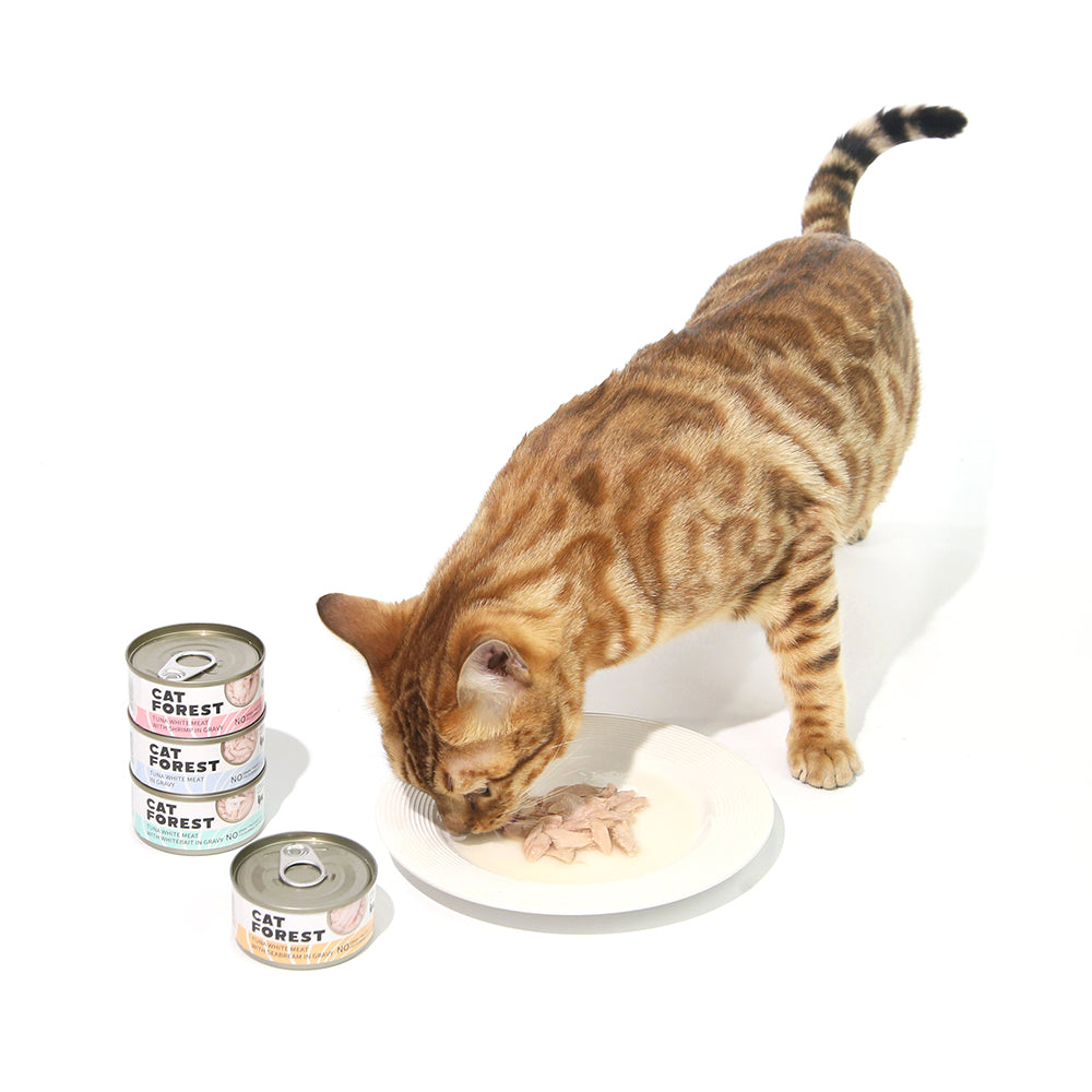 CAT FOREST - Classic Tuna White Meat With Shrimp In Gravy Cat Canned Food 85G X 24