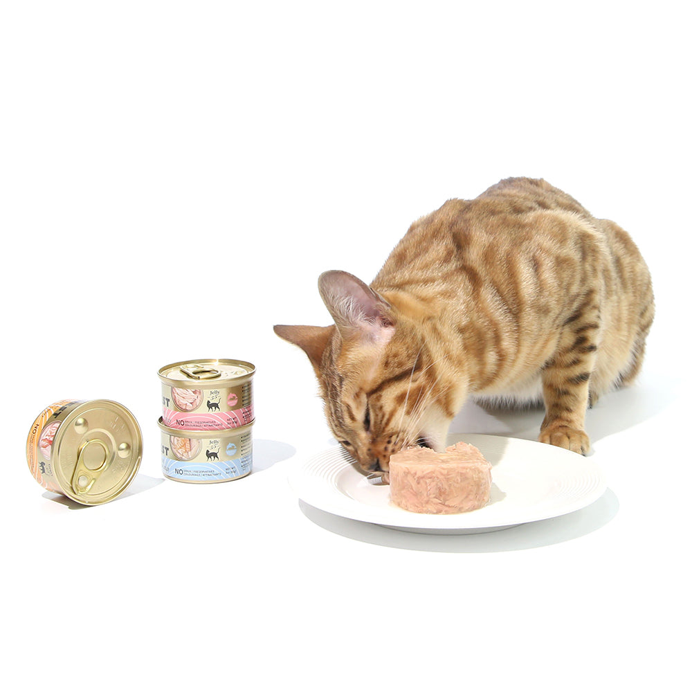 CAT FOREST - Premium Tuna White Meat With Shrimp In Gravy Cat Canned Food 85G X 24