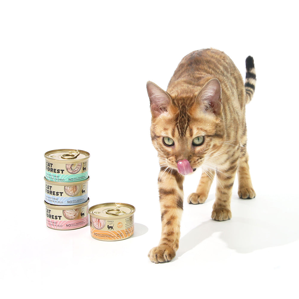 CAT FOREST - Premium Tuna White Meat With Shrimp In Gravy Cat Canned Food 85G X 24