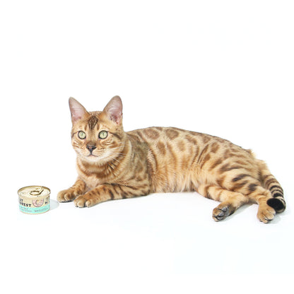 CAT FOREST - Premium Tuna White Meat With Mussel In Gravy Cat Canned Food 85G X 24