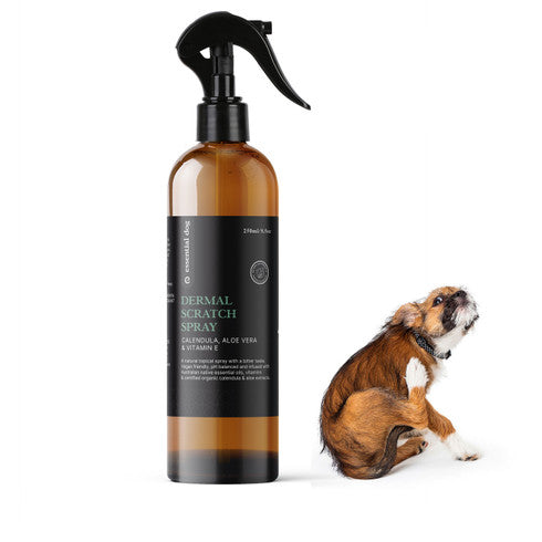 Essential Dog Dermal Scratch Spray for Dogs – Aloe Vera, Calendula & Vitamin E