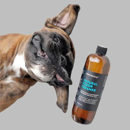 Essential Dog - 500ml Natural Floor Cleaner (Eucalyptus and Lemongrass)