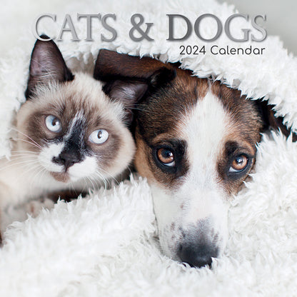 2024 Square Cats & Dogs Wall Calendar - 16 Months Premium Planner