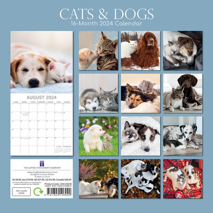 2024 Square Cats & Dogs Wall Calendar - 16 Months Premium Planner