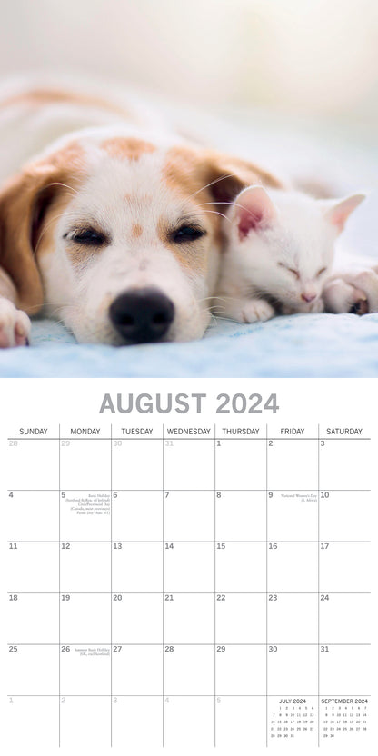 2024 Square Cats & Dogs Wall Calendar - 16 Months Premium Planner