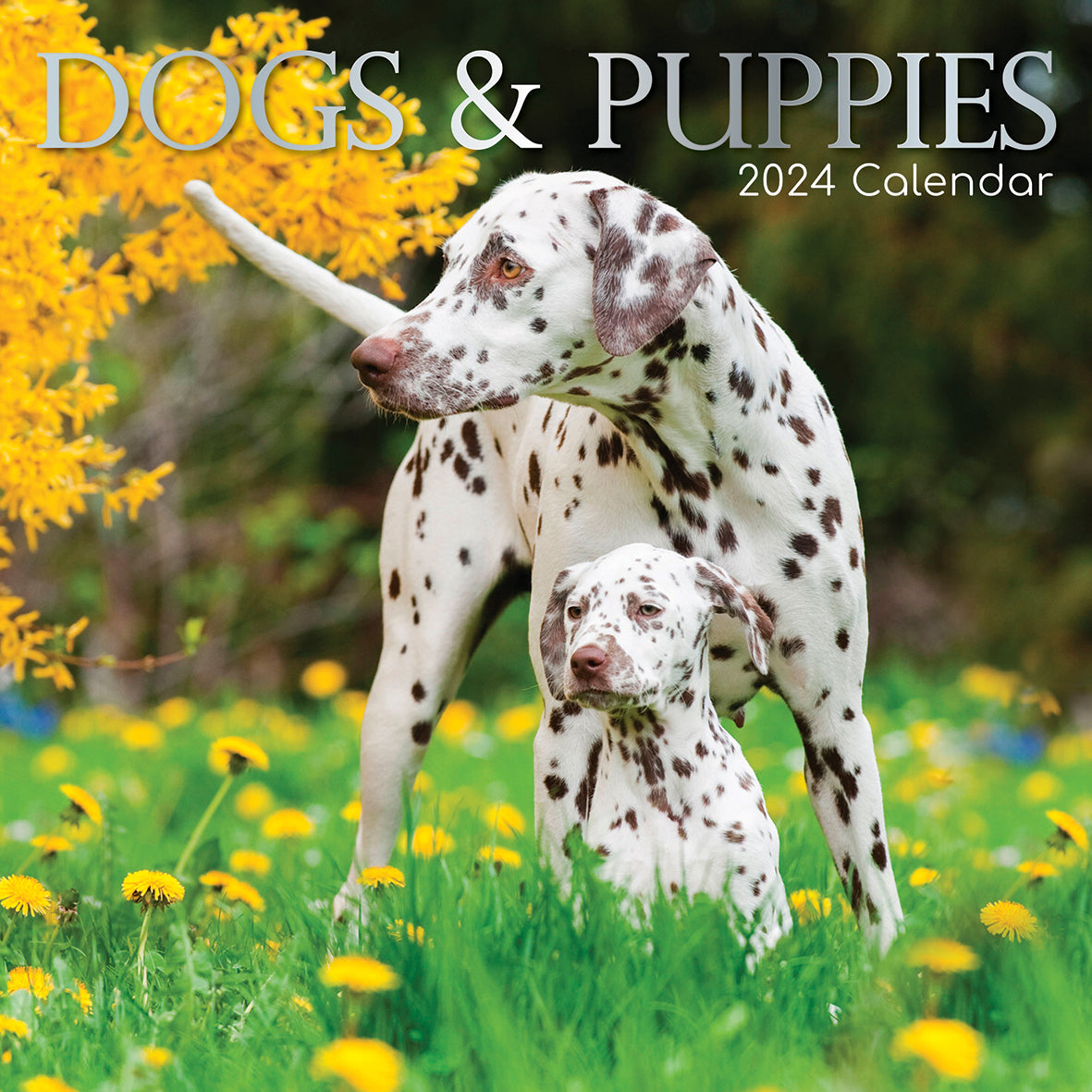 2024 Square Dogs & Puppies Wall Calendar - 16 Months Premium Planner