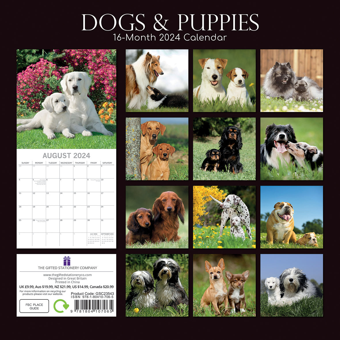 2024 Square Dogs & Puppies Wall Calendar - 16 Months Premium Planner