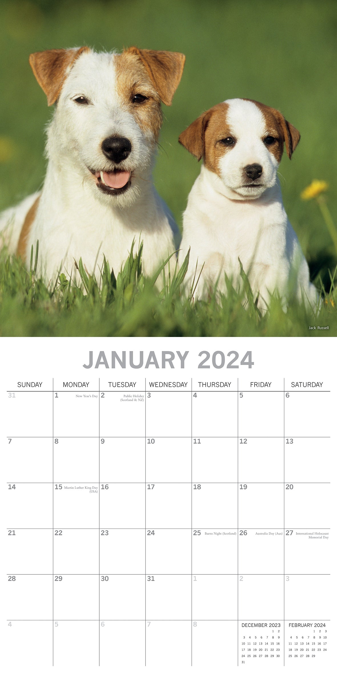 2024 Square Dogs & Puppies Wall Calendar - 16 Months Premium Planner