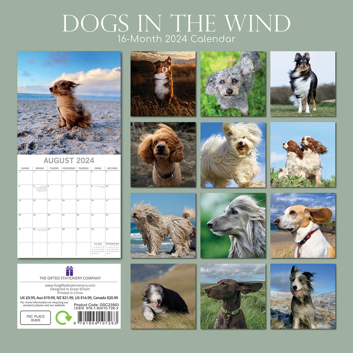 2024 Square Dogs in the Wind Wall Calendar - 16 Months Premium Planner